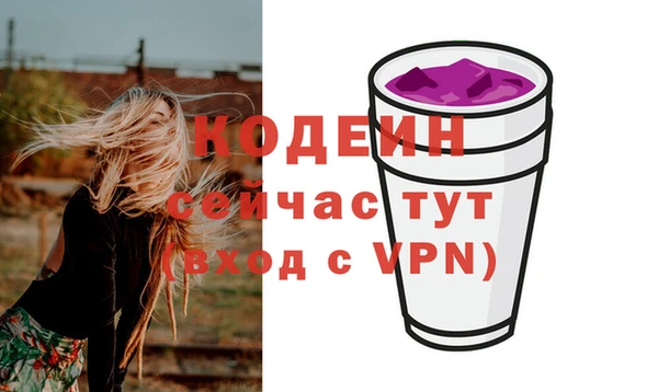 сатива Беломорск