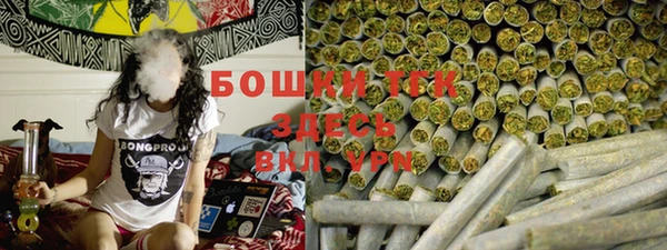 сатива Беломорск