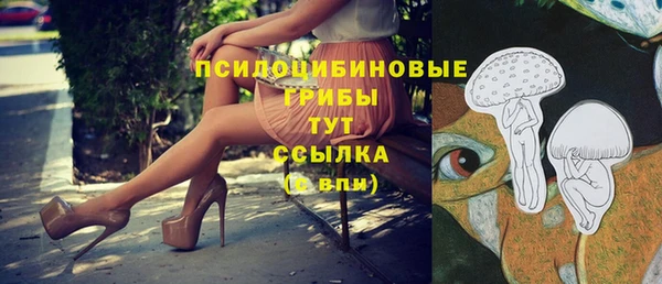 сатива Беломорск