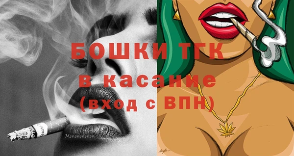 сатива Беломорск