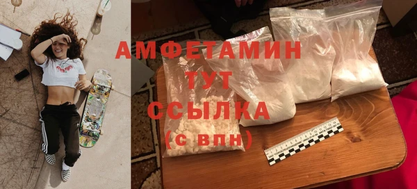 сатива Беломорск