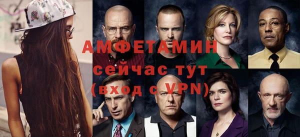 сатива Беломорск