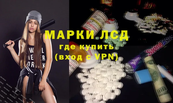 сатива Беломорск